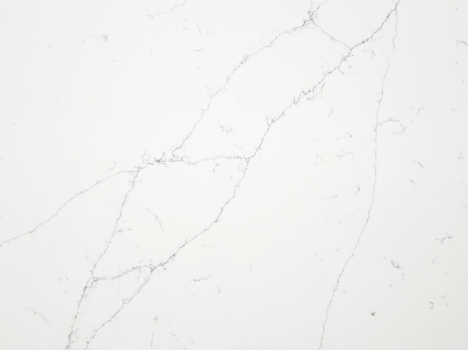 Calcutta Raphael Quartz