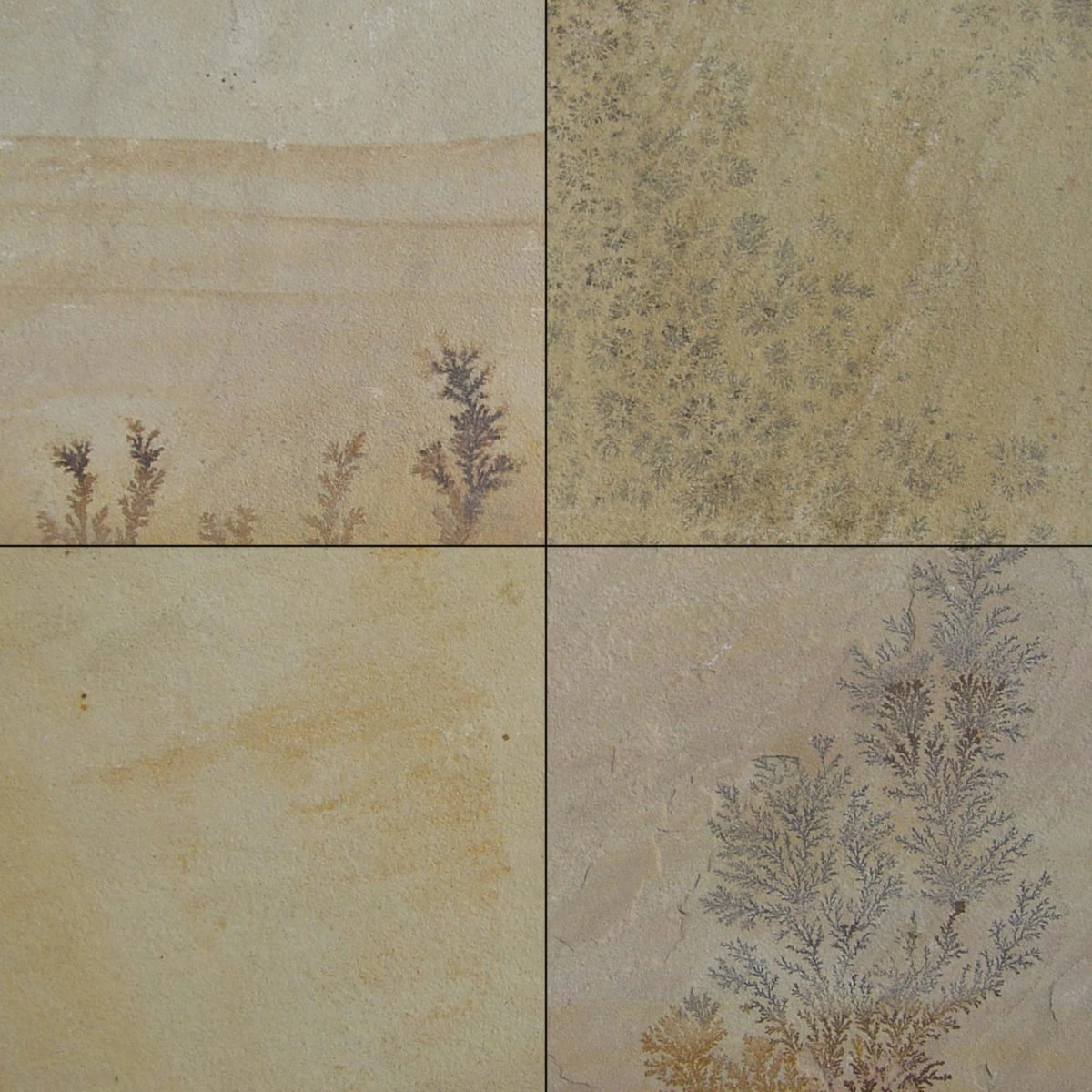 Fossil Mint Slate